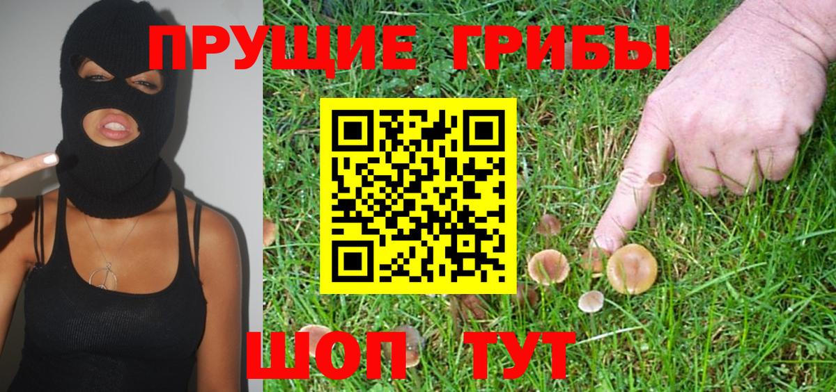 Галлюциногенные грибы ЛСД  Псилоцибиновые грибы Psilocybe  Костомукша  Вход с VPN 